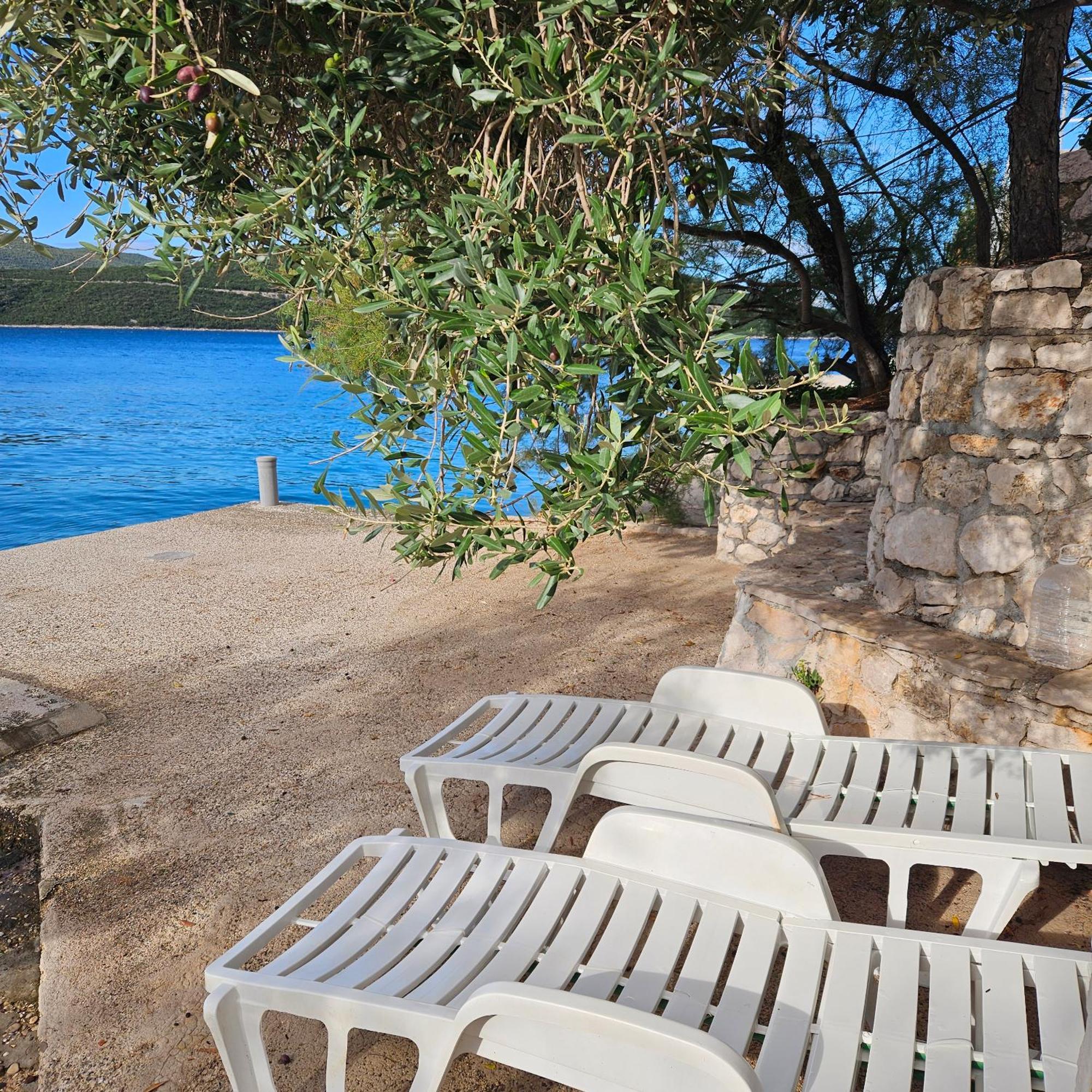 Apartments Cytrus Neum Exterior photo