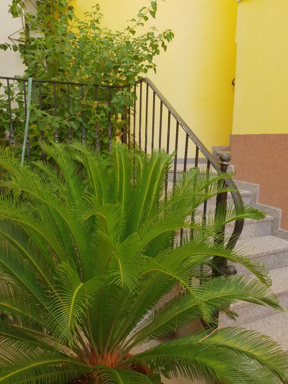 Apartments Cytrus Neum Exterior photo